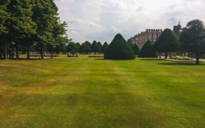 “THE NATURE OF THE KINGDOM”Part II