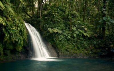 “FROM UNDER LAW TO UNDER GRACE” Part II